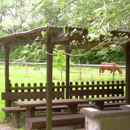 Ferienhaus On A Horse Farm In The L Neburg Heath *