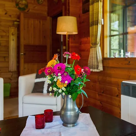 On A Horse Farm In The L Neburg Heath Ferienhaus