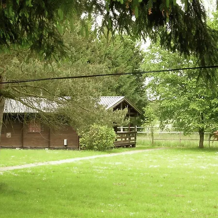 On A Horse Farm In The L Neburg Heath Ferienhaus Eschede