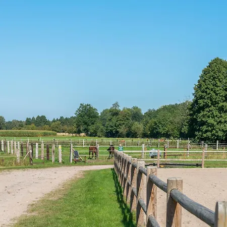 Blockhaeuser Auf Reiterhof In Nyaraló *