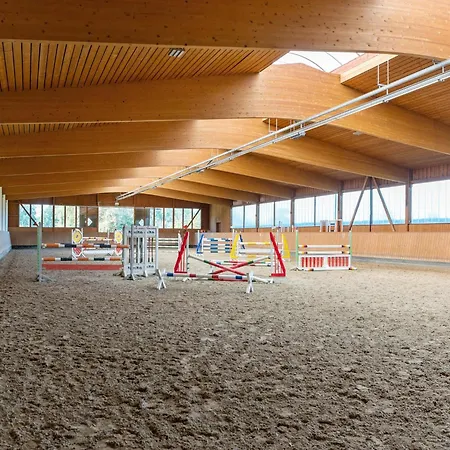 Blockhaeuser Auf Reiterhof In *