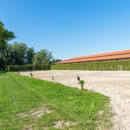 Blockhaeuser Auf Reiterhof In