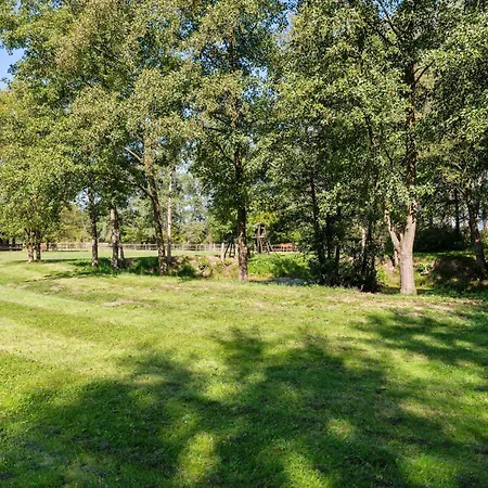 Blockhaeuser Auf Reiterhof In Nyaraló Eschede