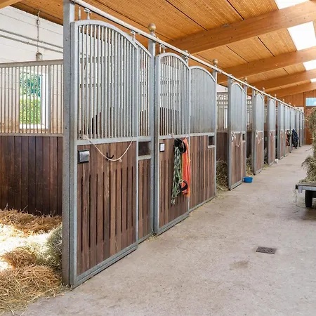 Blockhaeuser Auf Reiterhof In Nyaraló Eschede