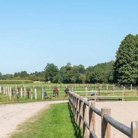 Blockhaeuser Auf Reiterhof In