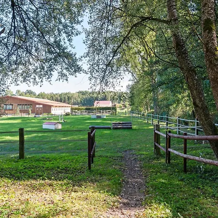 Blockhaeuser Auf Reiterhof In 別荘 Eschede