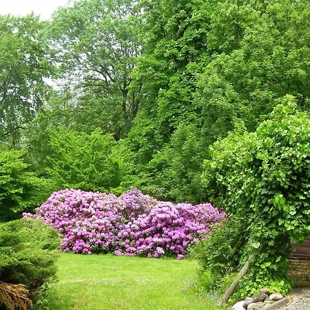 Blockhaeuser Auf Reiterhof In * Eschede
