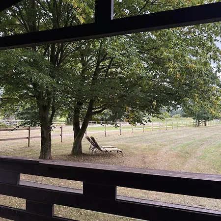 Blockhaeuser Auf Reiterhof In * Eschede