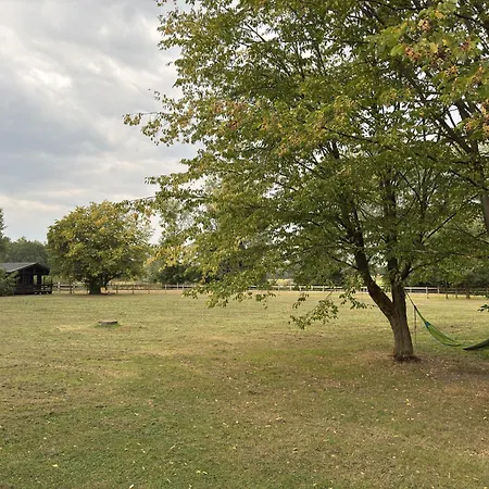 Blockhaeuser Auf Reiterhof In *