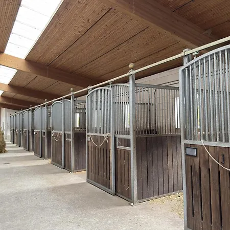 Blockhaeuser Auf Reiterhof In Nyaraló *