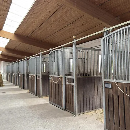 Blockhaeuser Auf Reiterhof In