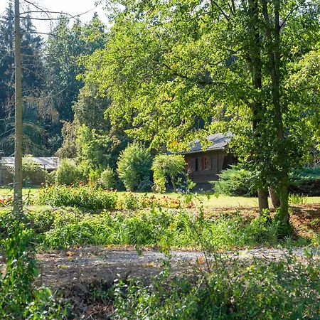 Blockhaeuser Auf Reiterhof In