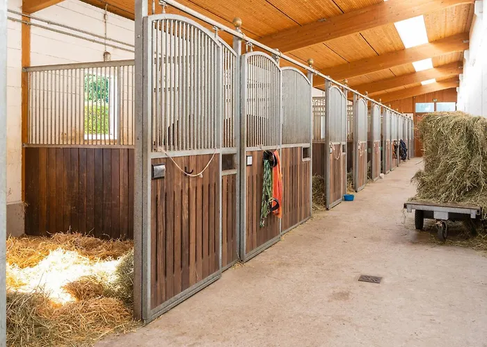 Blockhaeuser Auf Reiterhof In * Eschede