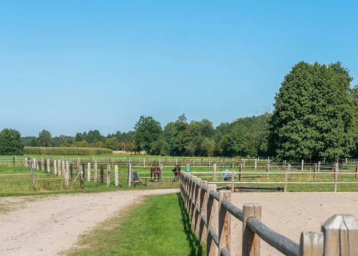 Blockhaeuser Auf Reiterhof In Semesterbostad *