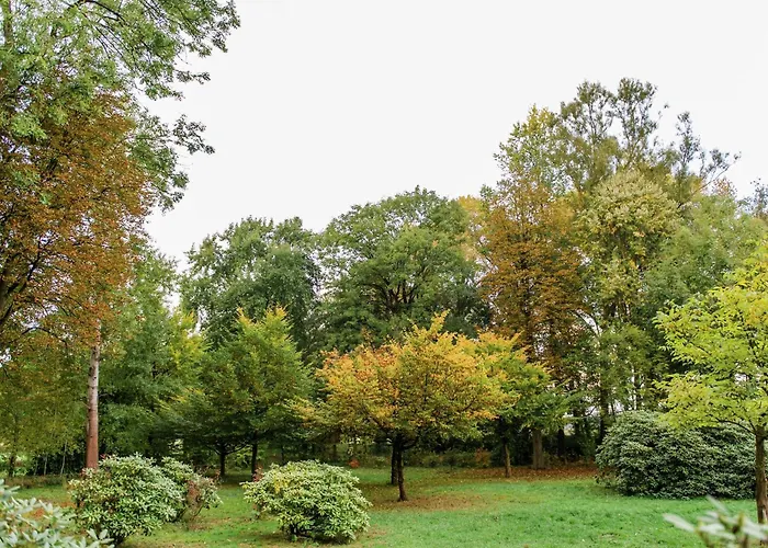 Blockhaeuser Auf Reiterhof In