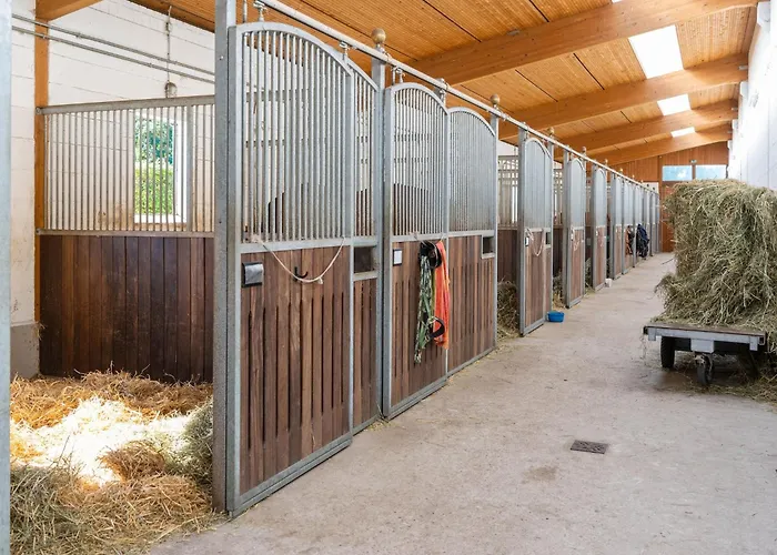 Blockhaeuser Auf Reiterhof In Semesterbostad Eschede