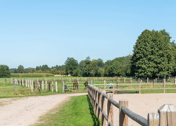 Blockhaeuser Auf Reiterhof In
