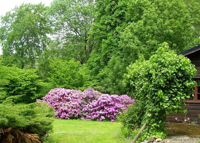 Blockhaeuser Auf Reiterhof In * Eschede