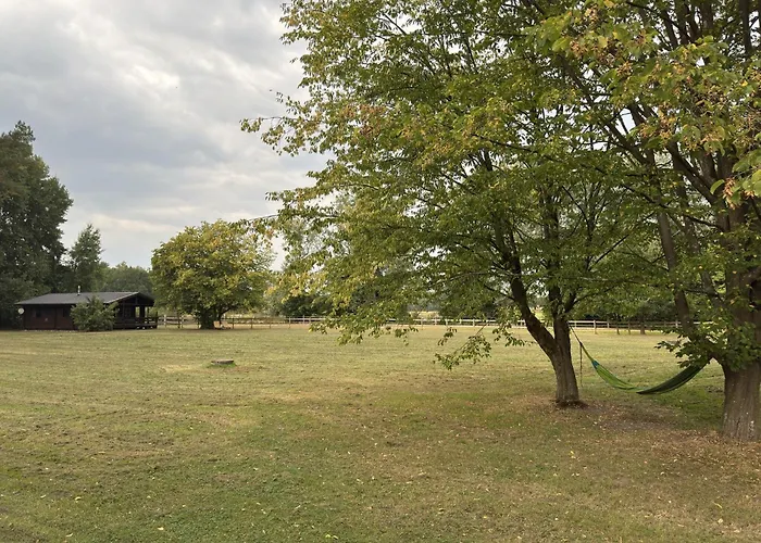 Blockhaeuser Auf Reiterhof In *