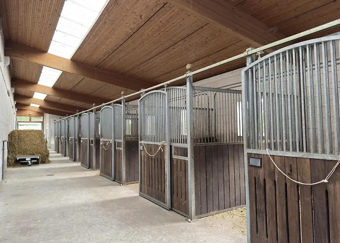 Blockhaeuser Auf Reiterhof In