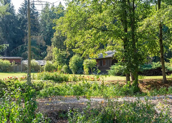 Blockhaeuser Auf Reiterhof In